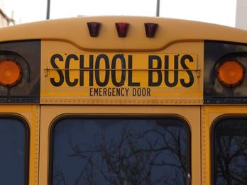 rear view of yellow school bus